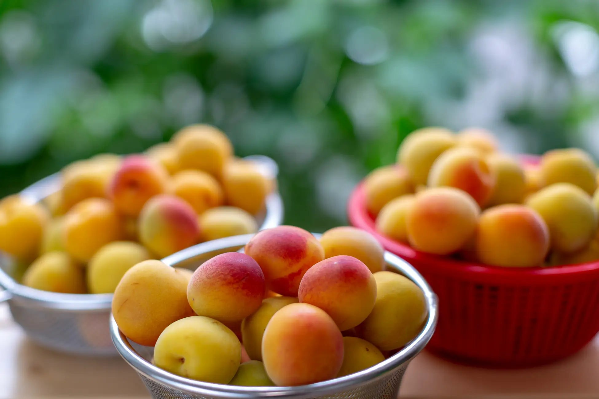 Ume Boys “Super-ripe Nanko plums” pre-orders start on March 21